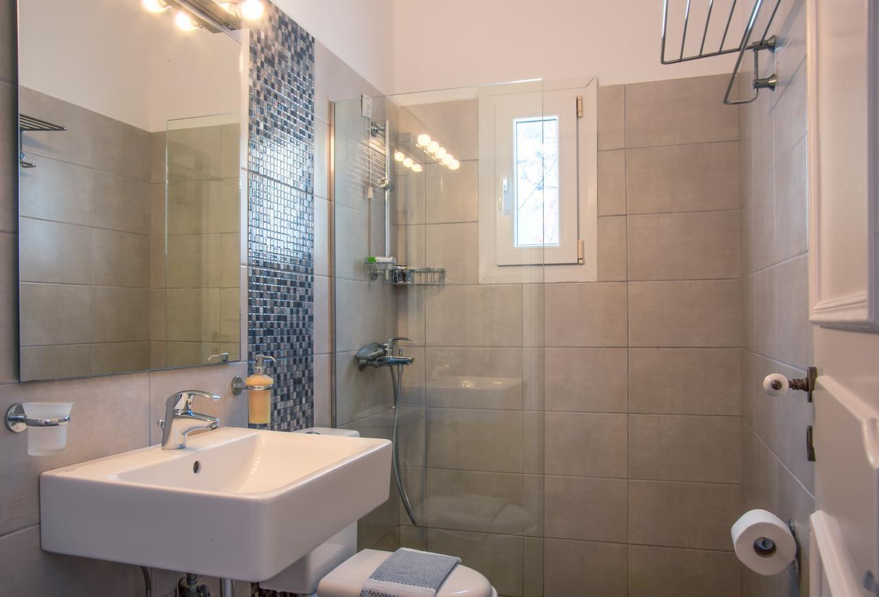Alkyoni Apartment Andros Town